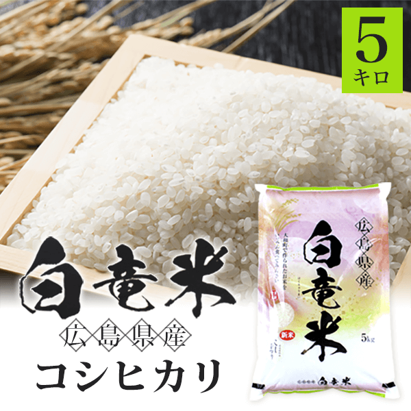 マツカワ　こしひかり５キロ